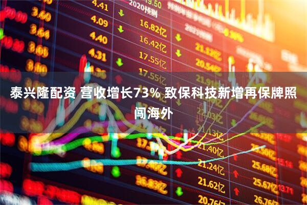 泰兴隆配资 营收增长73% 致保科技新增再保牌照闯海外