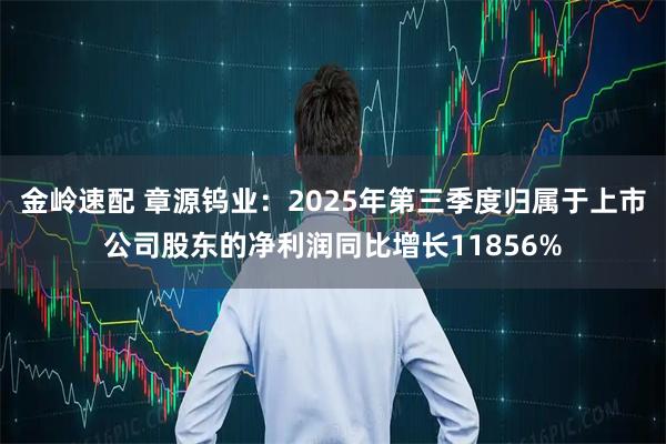 金岭速配 章源钨业：2025年第三季度归属于上市公司股东的净利润同比增长11856%